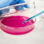 How do you choose the right Sanitiser or Disinfectant