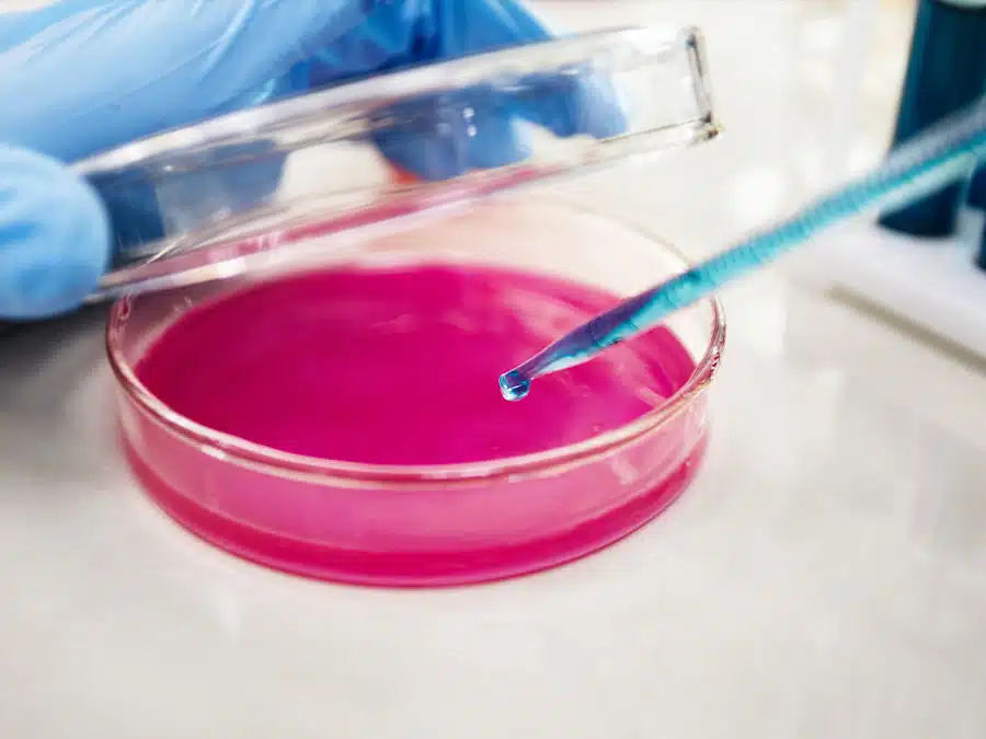 How do you choose the right Sanitiser or Disinfectant