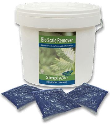BIO SCALE REMOVER