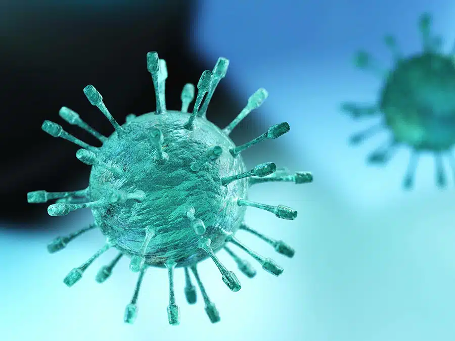 NEW results against Measles & Candida